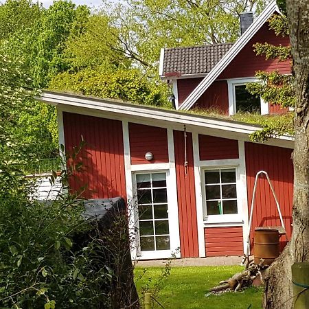 An Der Schafsweide Apartment Aukrug Exterior foto